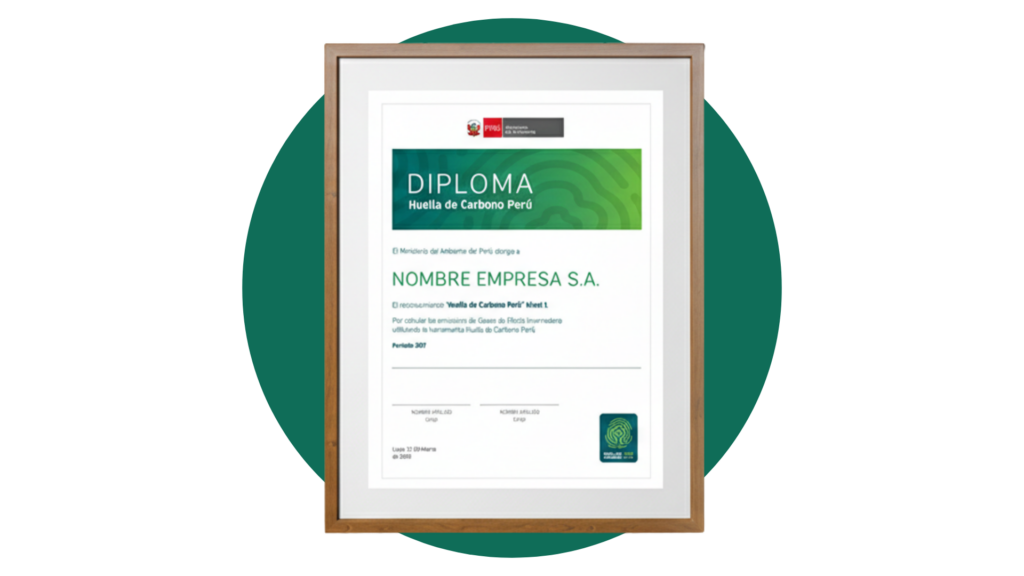 diseño sin título (29)